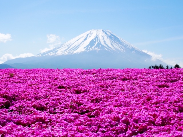 山梨県内から望む富士山